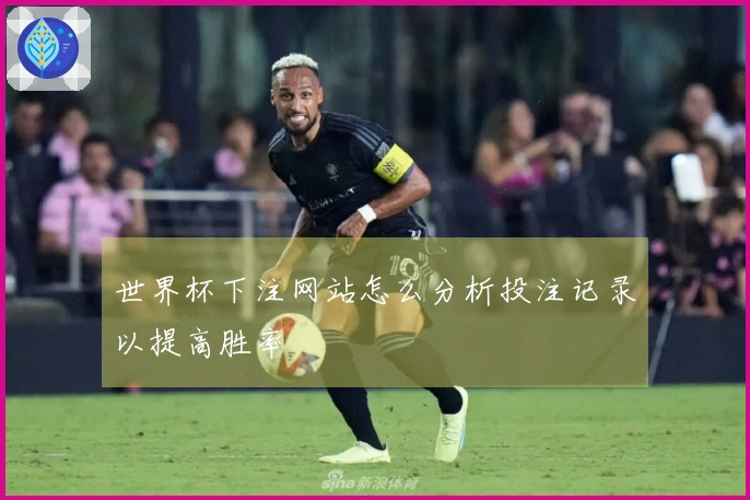 世界杯下注网站怎么分析投注记录以提高胜率