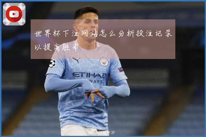 世界杯下注网站怎么分析投注记录以提高胜率