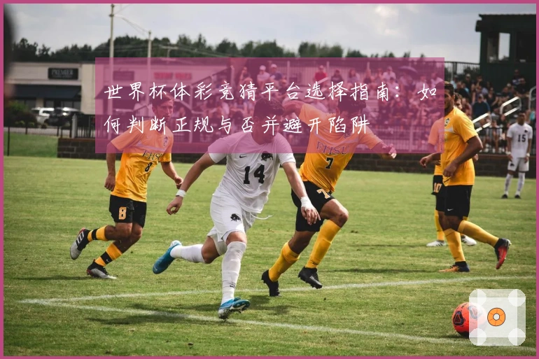 世界杯体彩竞猜平台选择指南：如何判断正规与否并避开陷阱